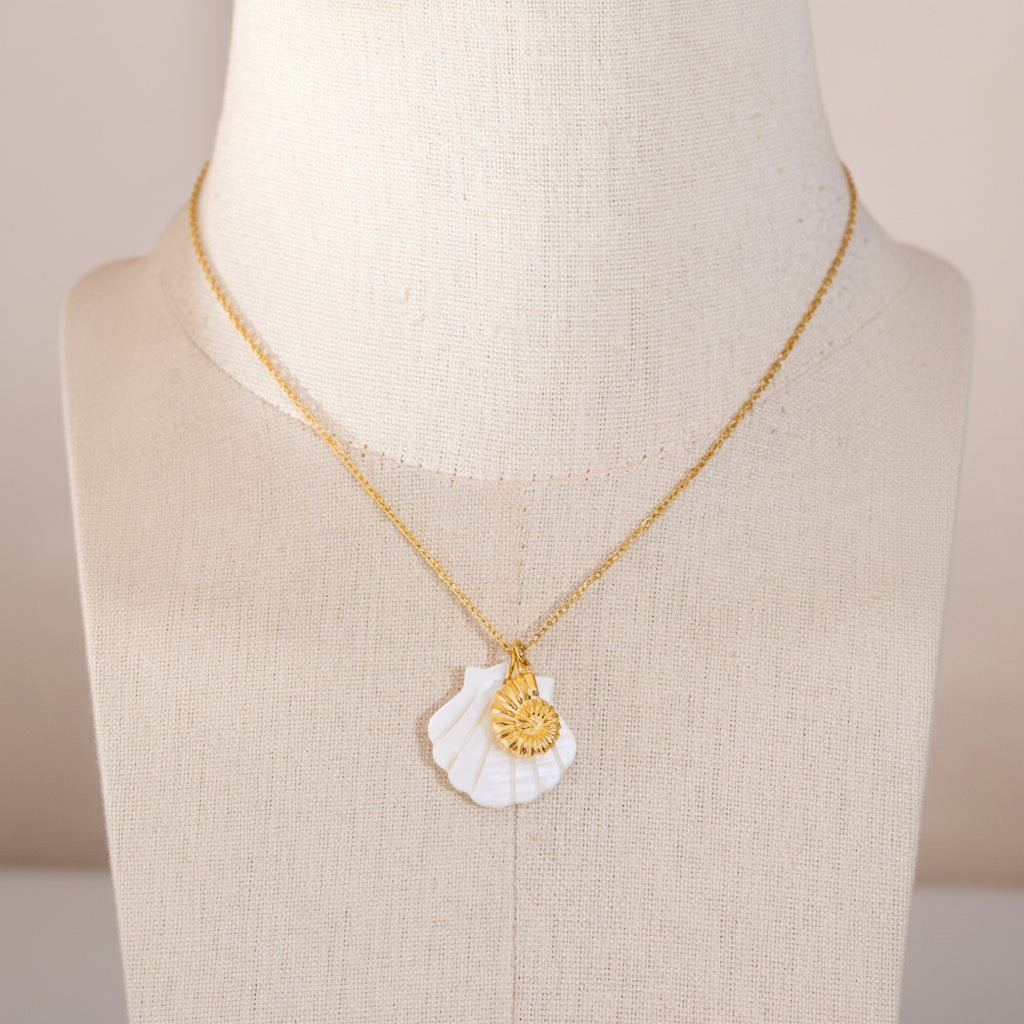 Collier coquillage Lorry